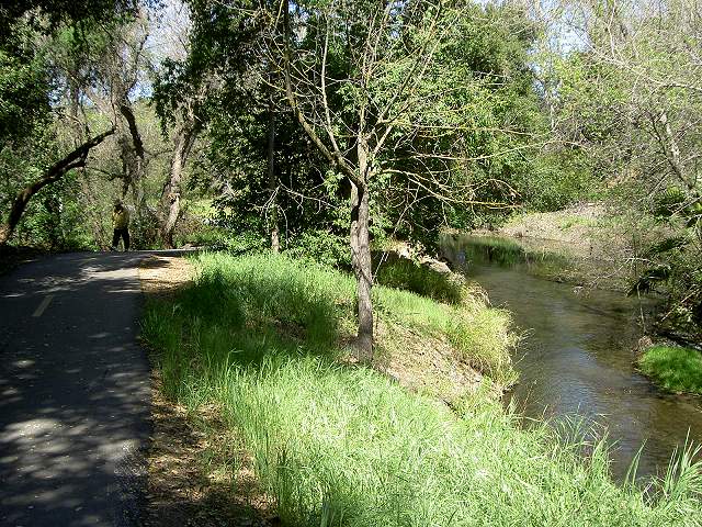 Image of Coyote Creek Trail